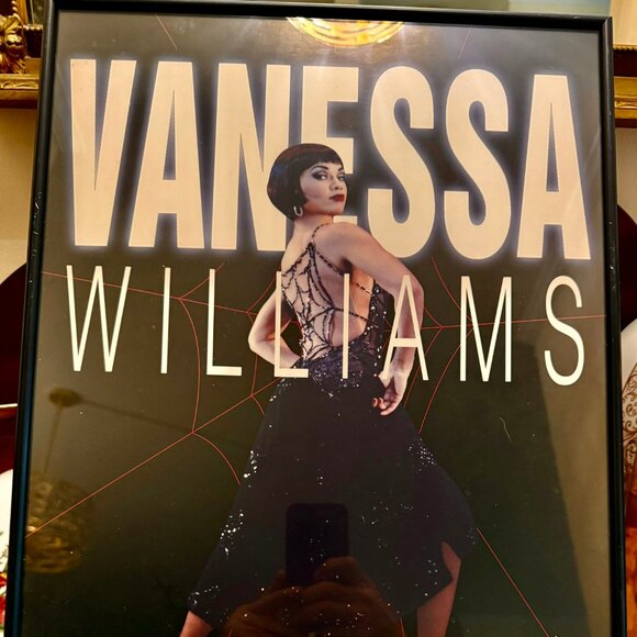 VANESSA WILLIAMS, KISS OF THE SPIDER WOMAN, FRAMED BROADWAY POSTER & PLAYBILL'94 - Picture 6 of 11